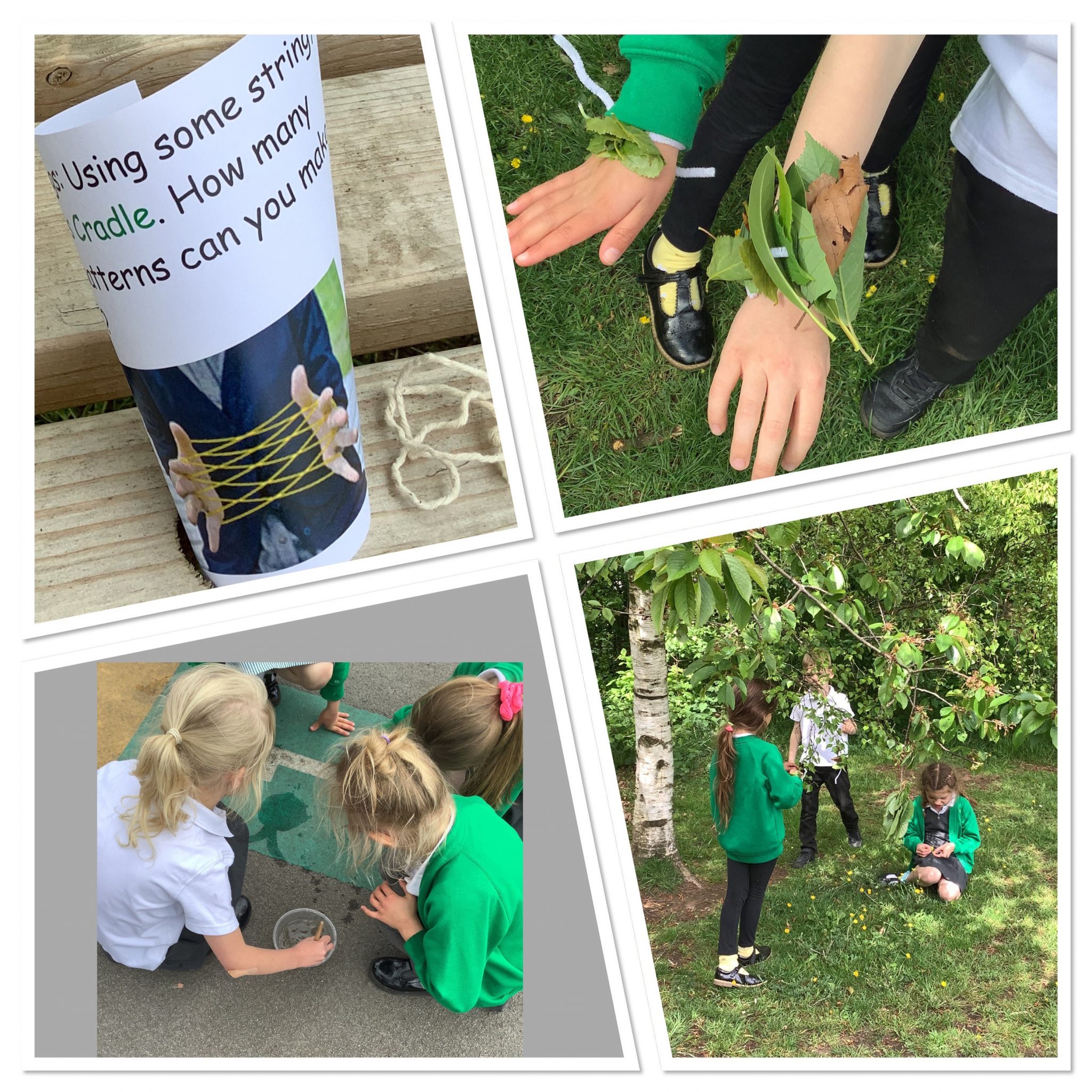 mental-health-week-nature-themed-activities-lower-heath-ce-primary